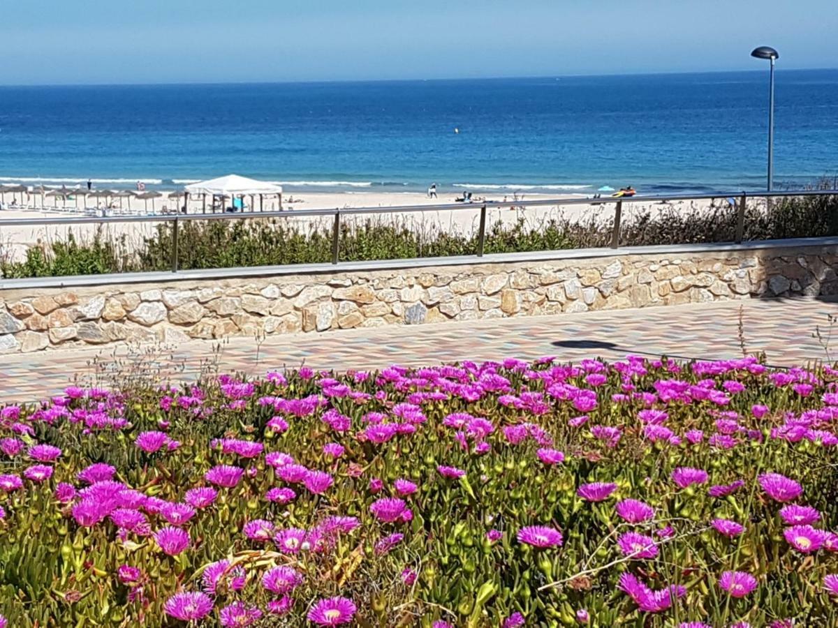 El Mirador De Villamartin II מראה חיצוני תמונה